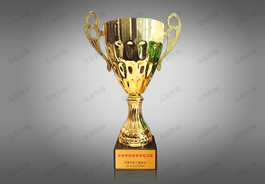 全國市政金杯示范獎